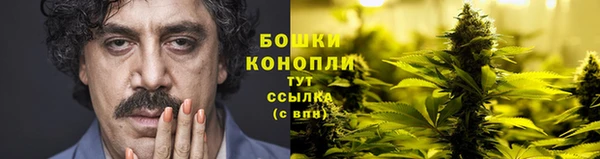 бошки Арсеньев