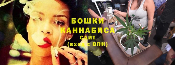 бошки Арсеньев