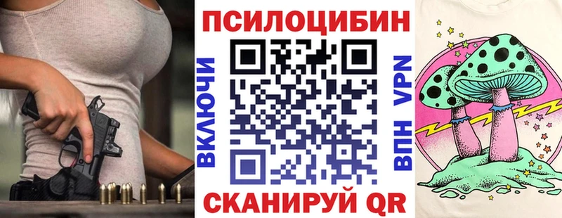 где можно купить Сосновоборск KRAKEN как зайти Псилоцибиновые грибы Magic Shrooms